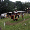 Der Herold